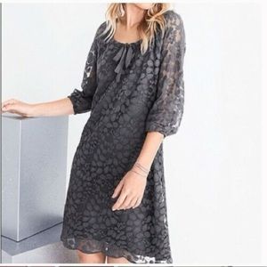 Garnet Hill Boheme Easy Lace Dress. Satin Lined.  3/4 sleeves.  Size 6 A-line